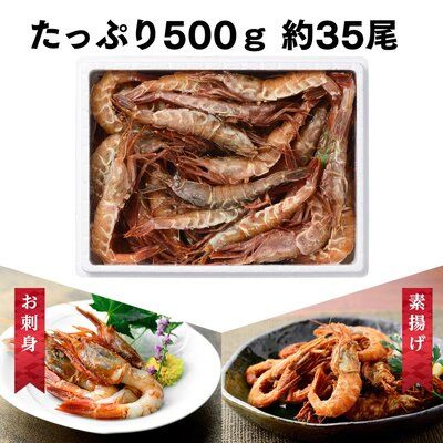 越前ガラエビ 約500g（約35～40尾） 魚介類 国産 福井県産 刺身 ねっとり 甘い 弾力 濃厚 旨味 塩焼き 煮つけ 味噌汁の具 船内凍結 獲れたてのような味 
