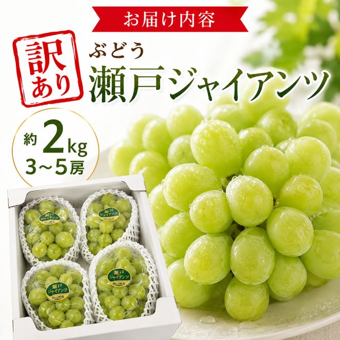 訳あり ぶどう 瀬戸ジャイアンツ 約2kg 3～5房 高梁市産 2026年 先行予約 化粧箱 葡萄 ブドウ うめづぶどう園