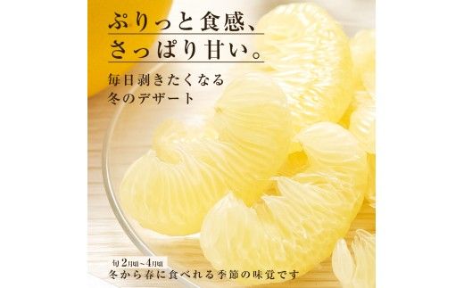 先行予約 訳あり 土佐文旦 家庭用 約10kg 約16～30玉 M～5L混合サイズ 高知県産 文旦 ブンタン ぶんたん 柑橘 かんきつ 蜜柑 みかん 柑橘類 フルーツ 果物 くだもの デザート おやつ 爽やか 甘い ジュース スイーツ 美味しい おいしい