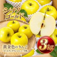 りんご シナノゴールド 信州のシナノゴールド 約3キロ！ 信濃三兄弟の一つ（りんご・リンゴ・林檎） 伊那市 長野県 信州【012-94】