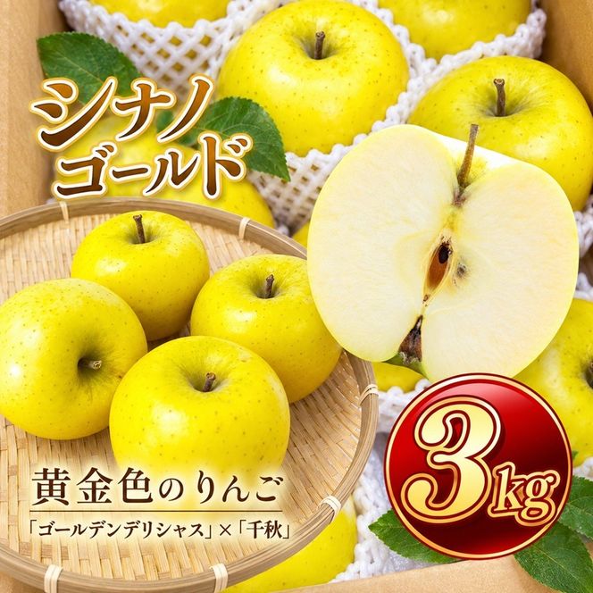 りんご シナノゴールド 信州のシナノゴールド 約3キロ！ 信濃三兄弟の一つ（りんご・リンゴ・林檎） 伊那市 長野県 信州【012-94】
