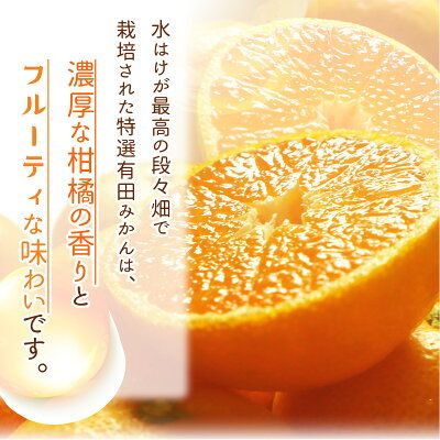 和歌山県産 有田みかん【訳あり 家庭用】約1.5kg 小玉 3S～Sサイズ おまかせ_DI6045