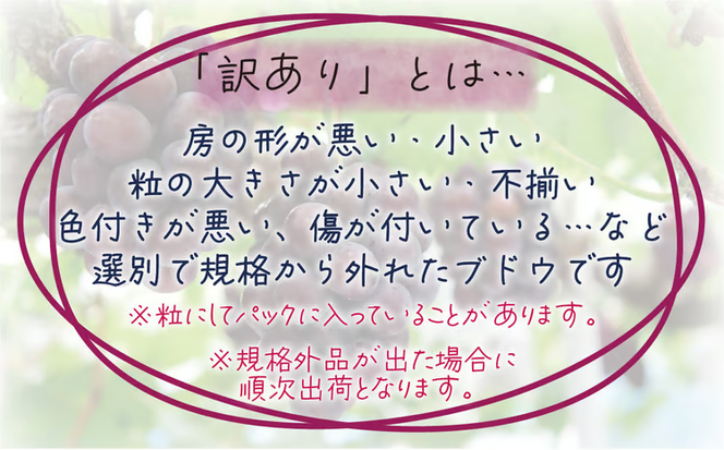 【2026年の先行予約！】 訳あり ぶどう 花笑み農園おまかせ3種以上（約１kg） / ぶどう 詰め合わせ 食べ比べ シャインマスカット ピオーネ クイーンニーナ オーロラブラック 瀬戸ジャイアンツ 翠峰 BKシードレス マスカサーティーン マスカットノワール 雄宝 マイハート 岡山 真庭市 【hana018-02】