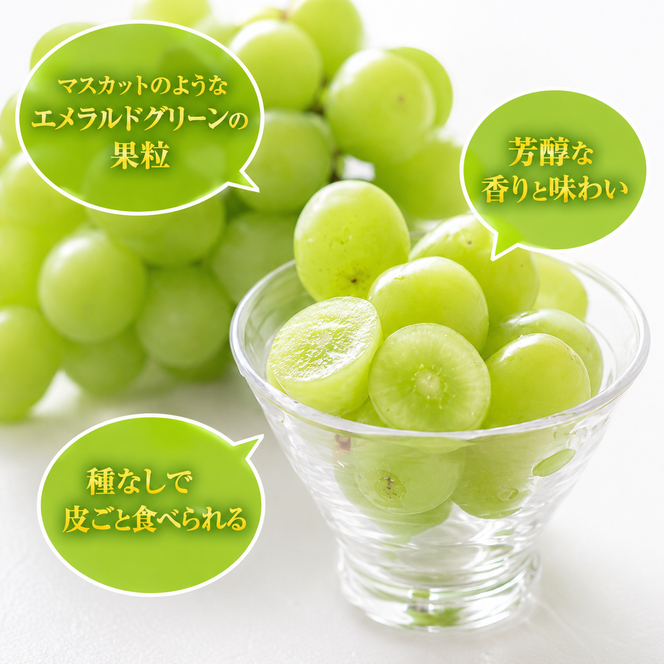 シャインマスカット 約2kg 3～5房 ぶどう 葡萄 フルーツ 岡山 高梁市産 2026年 先行予約 果物類 果物 