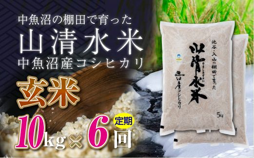 【定期便／全6回】玄米10kg　新潟県魚沼産コシヒカリ「山清水米」十日町市 米