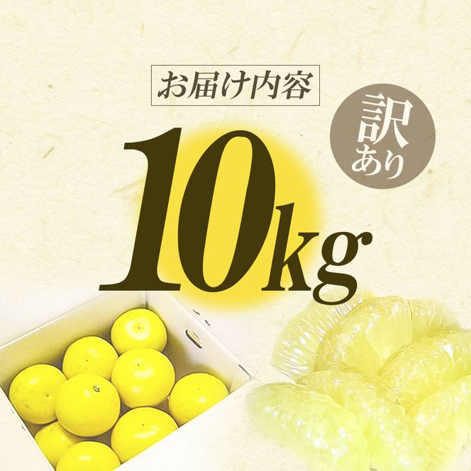 【CF-R7hbk】【先行予約】ワケあり土佐文旦(※シミ・キズあり) 10kg・ サイズおまかせ 産地直送 フルーツ 果物 在庫限り