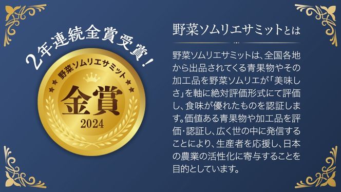 てるて姫 大箱 約2.6kg × 2箱 【20〜35玉/1箱】 野菜ソムリエサミット 金賞 糖度9度 以上 野菜 フルーツトマト フルーツ トマト とまと [AF110ci]