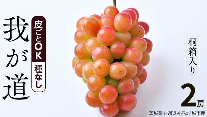 【 桐箱入り 】我が道 （ ぶどう ） 2房 【2026年9月から発送開始】（茨城県共通返礼品 [ぶどう]：結城市産）  ぶどう 我が道 果物 フルーツ 季節 旬 [BI395-NT]