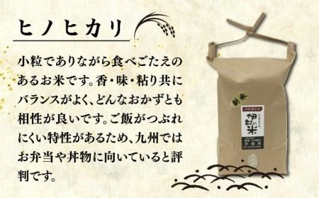 【令和5年産】伊都の米 （ ヒノヒカリ ） 2kg 糸島市 / 伊都福祉サービス協会 [APL001] 米 白米 玄米