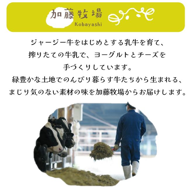 【国内コンテスト最優秀賞受賞！】ナチュラルチーズセット （カマンベールチーズ モッツァレラチーズ さけるチーズ チーズ 詰め合わせ 人気）