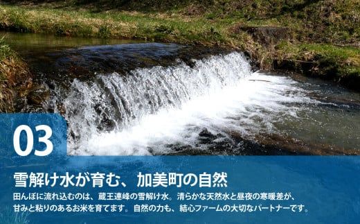 【無洗米】【5kg×6回 計30kg】 米 宮城県産 ひとめぼれ 5kg 定期便 《 令和7年産 新米 》 白米 精米 ご飯 ごはん コメ こめ お米 小分け 家庭用 結心ファーム [ 宮城県 加美町 ]  