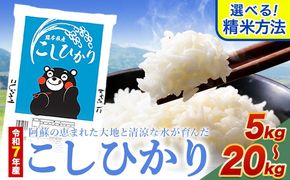 無洗米 も 選べる こしひかり 白米 or 無洗米 選べる精米方法 内容量 5kg 10kg 20kg 白米 精米 無洗米 熊本県産(南阿蘇村産含む) 単一原料米 南阿蘇村《1-5日以内に出荷予定(土日祝除く)》---mna_kh7_s_9800_5kg_h---