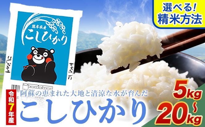 無洗米 も 選べる こしひかり 白米 or 無洗米 選べる精米方法 内容量 5kg 10kg 20kg 白米 精米 無洗米 熊本県産(南阿蘇村産含む) 単一原料米 南阿蘇村《1-5日以内に出荷予定(土日祝除く)》---mna_kh7_s_9500_5kg_h---