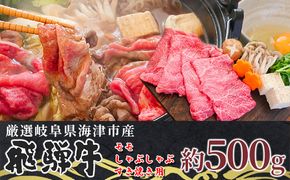 【飛騨牛】海津市産モモしゃぶしゃぶすき焼き用スライス 【配達不可：離島】 お肉 牛肉 鍋 牛鍋 もも肉 ブランド牛 赤身 適度なサシ 霜降り 濃厚 旨味 脂身が少ない 肉じゃが 炒め物 ダイエット 岐阜県産 国産 