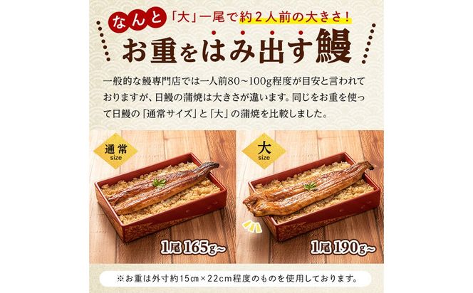 日ノ本一の鰻の蒲焼き＜大＞2尾(計380g以上) b1-018