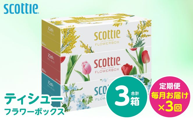 【定期便3回】【毎月お届け】【スコッティ】 ティシュー フラワーボックス 250組 3箱 計9箱 ティッシュ 日用品 生活必需品 消耗品 紙 備蓄 防災備蓄 ストック デザインボックス 新生活 防災 生活用品 日用消耗品 箱ティッシュ 熊本県 八代市