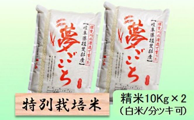【令和7年産】特別栽培米 20kg【白米、7分ツキ】（夢ごこち）
