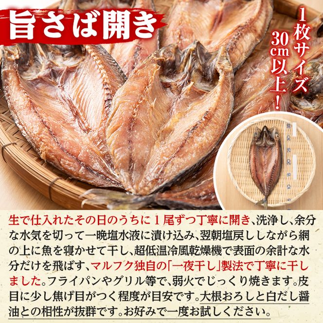 旨さば開き一夜干し(サイズ30cm以上×6枚)国産 サバ 鯖 干物 ひもの 魚介 乾物 おかず おつまみ【マルフク川畑水産】akn029-10
