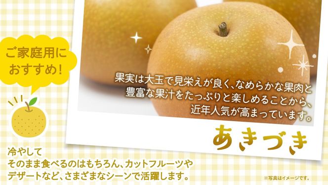＜ 訳あり ＞ あきづき 約5kg 【2026年10月より発送開始】（茨城県共通返礼品 [梨]：大子町産） ご家庭用 フルーツ なし ナシ 和梨 梨 わけあり 果実 旬のフルーツ お取り寄せ くだもの 果物 みずみずしい