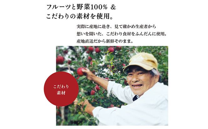スムージーキューブ/10パックセット/GreenSet