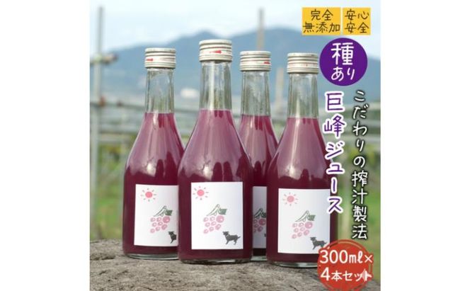 【完全無添加】【安心安全】【こだわりの搾汁製法】種あり巨峰ジュース300ml×4本セット【栽培期間中 除草剤・ネオニコチノイド系農薬・化学肥料不使用】 果実飲料 フルーツジュース 飲み物 グレープジュース