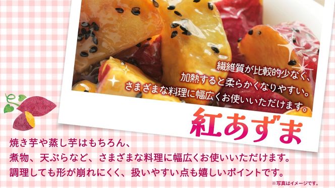 ＼選べる発送方法／ 紅あずま 約 2.5kg （茨城県共通返礼品 [さつまいも]：行方市産） 単品（1回）・定期便（3回 / 6回） さつまいも サツマイモ べにあずま 芋 いも 野菜 根菜  茨城県産 お取り寄せ 野菜 根菜 いも