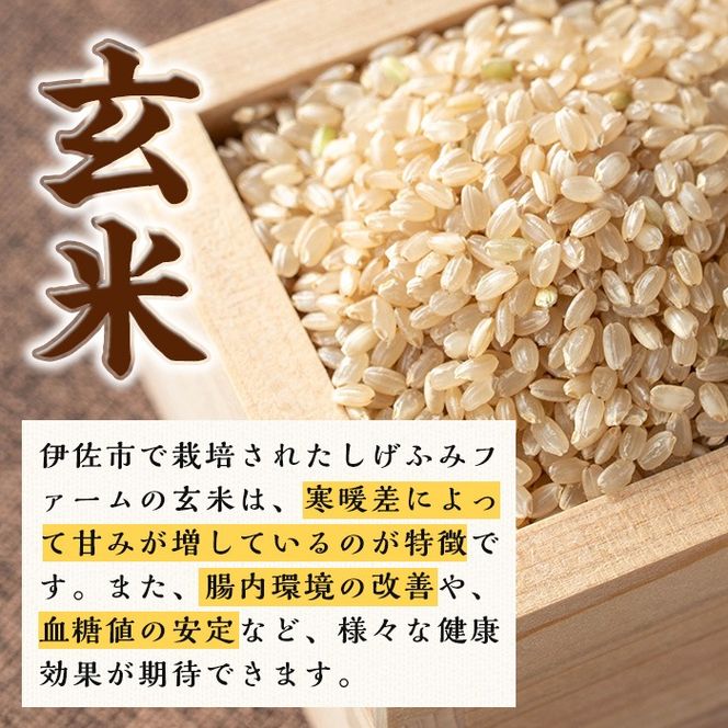 isa664 《毎月数量限定》あんしん玄米(約1kg×3袋・計約3kg) 米 玄米 お米 鹿児島県 伊佐市 健康 食物繊維 腸活 有機肥料 EM農法 【しげふみファーム】