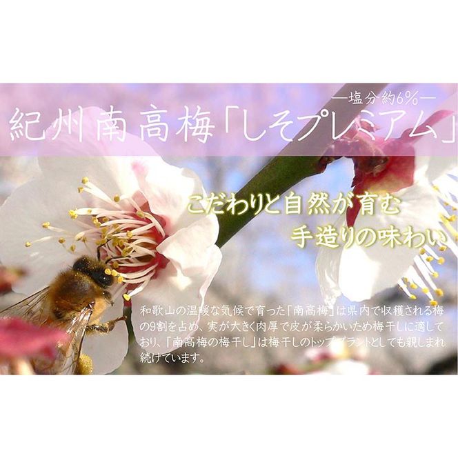 【定期便/3か月ごと/全3回】紀州南高梅しそプレミアム塩分約6％（850g）