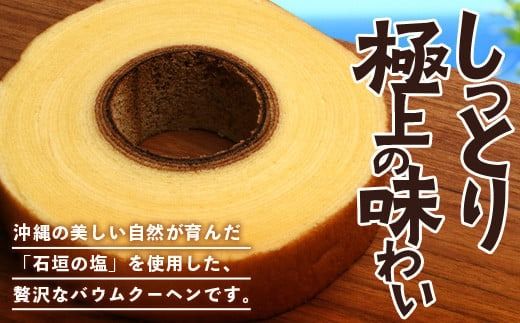石垣島 やし屋手作り 石垣の塩 バウムクーヘン　直径15cm以上×2箱【 沖縄県 石垣市 石垣島 石垣の塩 菓子 バウムクーヘン さとうきび 】YA-2