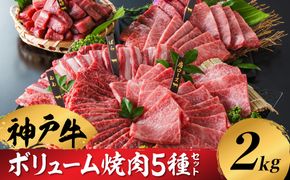 神戸牛 ボリューム焼肉セット 肩ロース 肩 モモ バラ 赤身角切り 2kg / 焼肉 食べ比べ 牛肉 小分け (200g×5種×2パック) 密着包装 赤身 霜降り国産牛 焼肉セット 焼き肉 冷凍 国産牛 ブランド牛 黒毛和牛 神戸ビーフ 化粧箱入り ギフト【帝神志方ミート】/翌々月にお届け