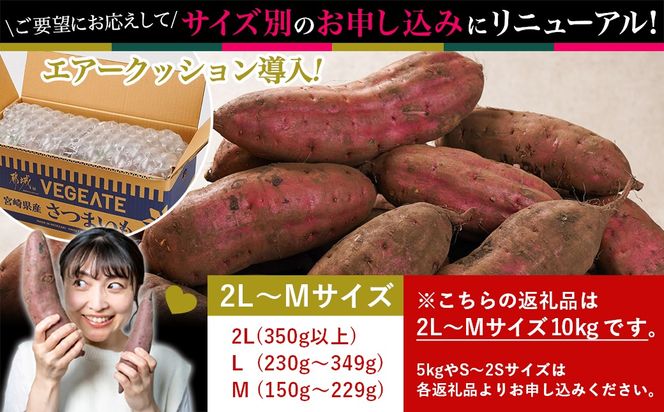 島津甘藷　熟成紅はるか 10kg(2L～M)_12-A701