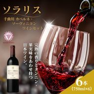 ワイン 信州ワイン 赤 ソラリス 千曲川 カベルネ・ソーヴィニヨン  ワインセット 750ml×6本 赤ワイン お酒 ぶどう酒 タンニン 完熟した香り 果実味 スパイシー 晩酌 おうちディナー 飲み物 家飲み 宅飲み
