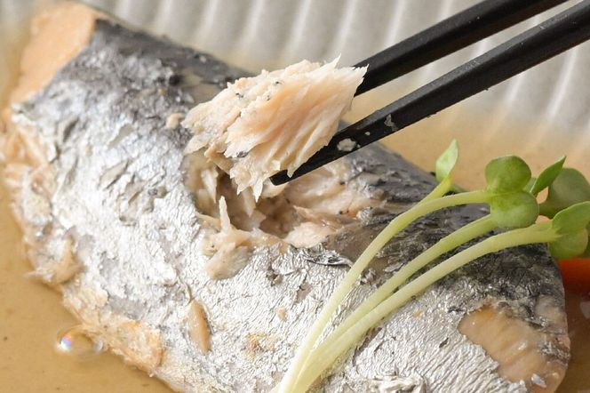 食品添加物無添加・減塩・小分け・骨取り！さわらの煮付け10切れ 冷凍 個包装 湯煎 レンジ調理 [煮魚 小分け 惣菜 簡単 時短 調理 おかず つまみ 煮物 パウチ レンチン 宮城県 利府町 セントラルキッチン]|06_mhc-011001d