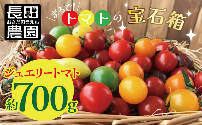【先行受付】2026年11月から発送【お試し】まるでトマトの宝石箱！ジュエリートマト 約700g（11月～2月発送）　長田農園 産地直送 トマト とまと 野菜 やさい フルーツ サラダ 濃厚 甘い ご褒美 プレゼント 美容 健康 リピート多数 人気 高評価 先行受付 数量限定 碧南市　H004-184_Nov