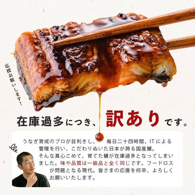 【訳あり・期間設定！】《800g 18,000円》国産 カット 鰻 蒲焼 計800g(80g×10P) a8-099