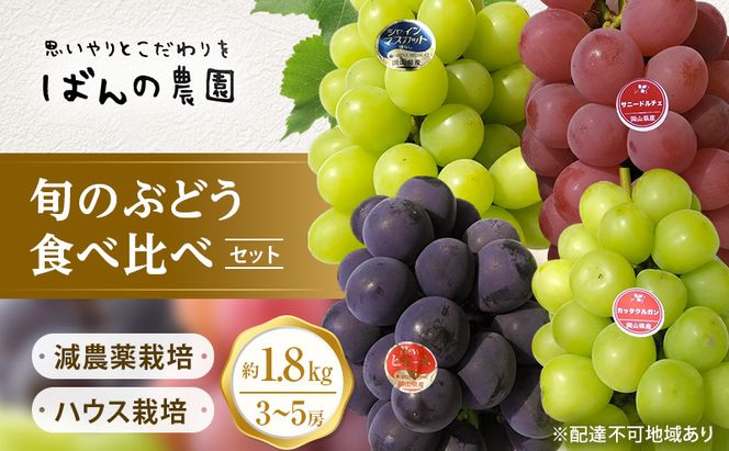 ぶどう 2026年 先行予約 旬のぶどう 食べ比べセット 約1.8kg 3～5房 減農薬／ハウス栽培 ブドウ 葡萄 岡山県産 国産 フルーツ 果物 ギフト ばんの農園 果物類 マスカット ぶどう食べ比べ 