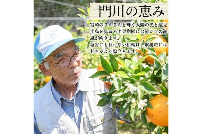＜先行予約受付中！2026年2～4月中旬発送予定＞宮崎県門川町産はるみ(約3kg) 柑橘 果物 数量限定 期間限定 国産 フルーツ 冷蔵 保存 遠見半島 【勝農園】【AE-20】