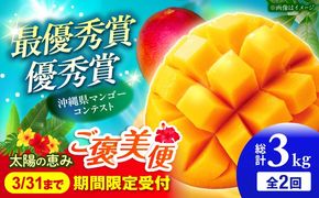 【全2回】太陽の恵み マンゴーご褒美便 (総計3kg) マンゴー 2026 沖縄 果物 フルーツ ギフト 沖縄市 / 仲村農園[BCZZ052]
