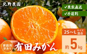DZ6236_【2026年先行予約】家庭用 訳あり 有田みかん 和歌山 2S～Lサイズ混合 約5kg