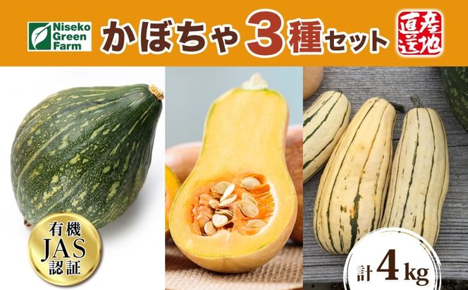 【2026年発送】北海道 オーガニック ３種 の かぼちゃBOX 計約4kg カボチャ デリカタ ミニバターナッツ ロロン 南瓜 有機野菜 野菜 有機栽培 JAS 産直 産地直送 国産 ニセコグリーンファーム