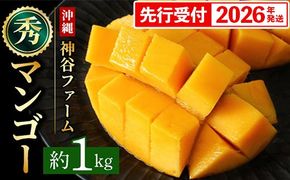 【化粧箱入】【先行受付・2026年発送】神谷ファームのマンゴー（秀）約1Kg - 先行予約 沖縄県産 産地直送 南国フルーツ 旬の味覚 季節の果物 贈り物 ギフト 沖縄県 八重瀬町