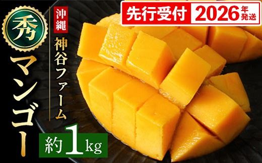 【化粧箱入】【先行受付・2026年発送】神谷ファームのマンゴー（秀）約1Kg - 先行予約 沖縄県産 産地直送 南国フルーツ 旬の味覚 季節の果物 贈り物 ギフト 沖縄県 八重瀬町