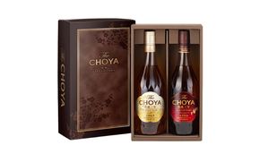 チョーヤ3年古酒と1年熟成梅酒セット 【igge0018】