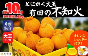 不知火 大玉 どっこいしょ 箱込 10kg (内容量約 9.2kg) 秀優混合 和歌山県産［みかんの会］ AX385