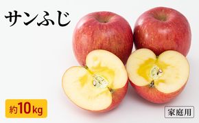 りんご サンふじ 家庭用 約10kg フルーツ 果物 甘い 訳あり おいしい 林檎 リンゴ
