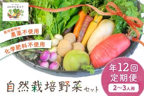 自然栽培野菜セット（年12回）2~3人用　定期便　月1回×12ヵ月　AB00003