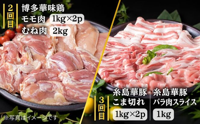 家族 で たっぷり！ ボリューム 満載 定期便全7回 （月1回） 4人用 【福岡 糸島産 牛肉 豚肉 鶏肉 切り落とし ミンチ ハンバーグ 餃子】 《糸島》 【糸島ミートデリ工房】 [ACA085] すき焼き 定期便 切り落とし しゃぶしゃぶ ステーキ 焼肉 赤身 黒毛和牛 国産