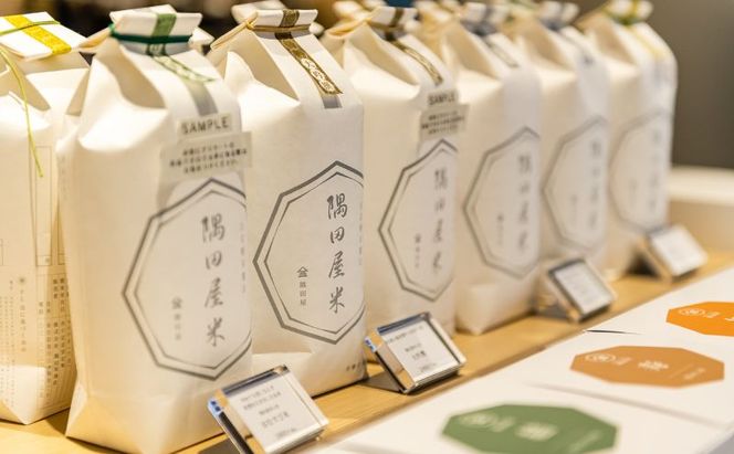 米セット 五つ星お米マイスターがブレンド 北斎江戸米 2合 詰め合わせ 波裏 縦真空CUBE 300g 米 精米 白米 お米 おこめ こめ コメ ブレンド米 ご飯 お米マイスター お米マイスター厳選 ギフト 贈り物 プレゼント 東京 東京都 墨田区