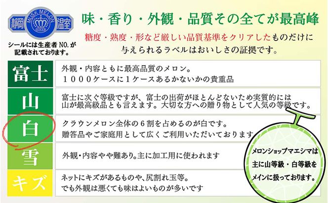 クラウンメロン【並（白等級）】中玉（1.3kg前後）1玉入り 定期便12ヶ月 人気 厳選 ギフト 贈り物 デザート グルメ 果物 袋井市 果物類 メロン青肉 フルーツ 12回 1年