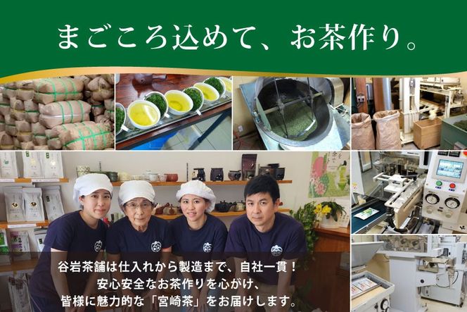 お茶 緑茶 煎茶 晟 70g×1本 [谷岩茶舗 宮崎県 日向市 452061610] 緑茶 やぶきた プラチナ賞 日本茶